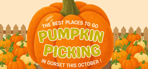 The Best Places to Go Pumpkin Picking in Dorset this October